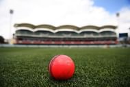 A typical pink Kookaburra ball.
